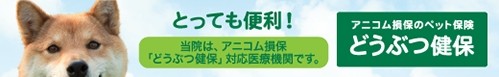 とっても便利！ 当院は、アニコム損保「どうぶつ健保」対応医療機関です。 アニコム損保のペット保険 どうぶつ健保